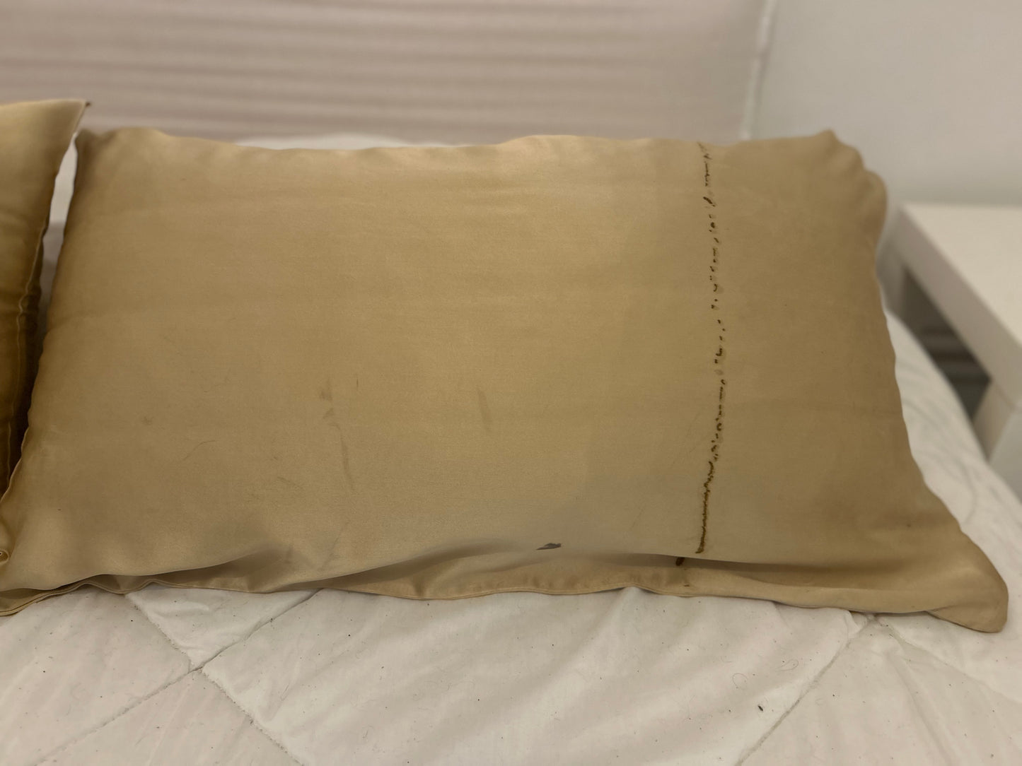 Silk Pillowcase Oliva Pomegranate and Boldo